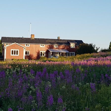 The Friendly Moose Hotel Overtornea Exterior foto
