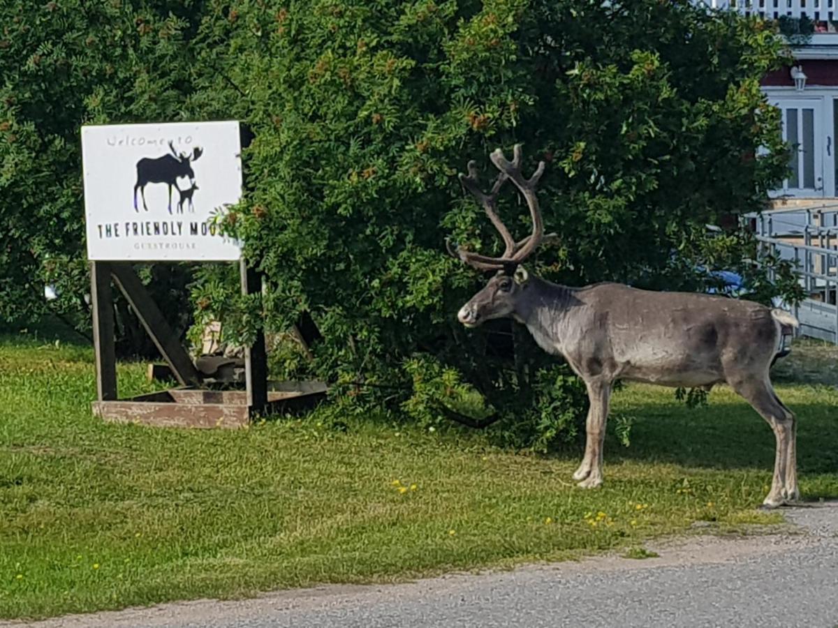 The Friendly Moose Hotel Overtornea Exterior foto