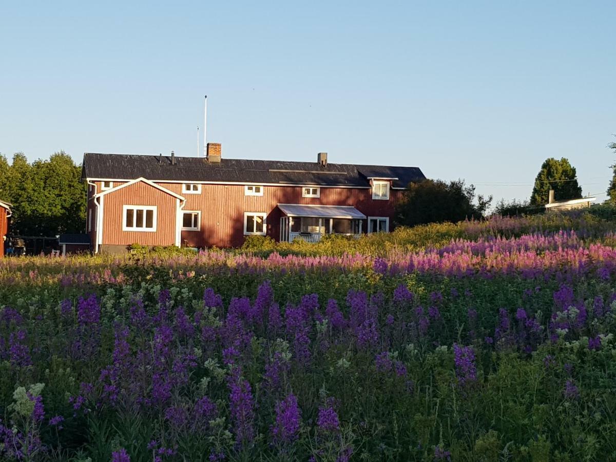 The Friendly Moose Hotel Overtornea Exterior foto